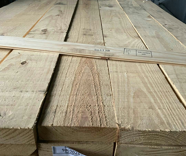 滁州阿根廷松木